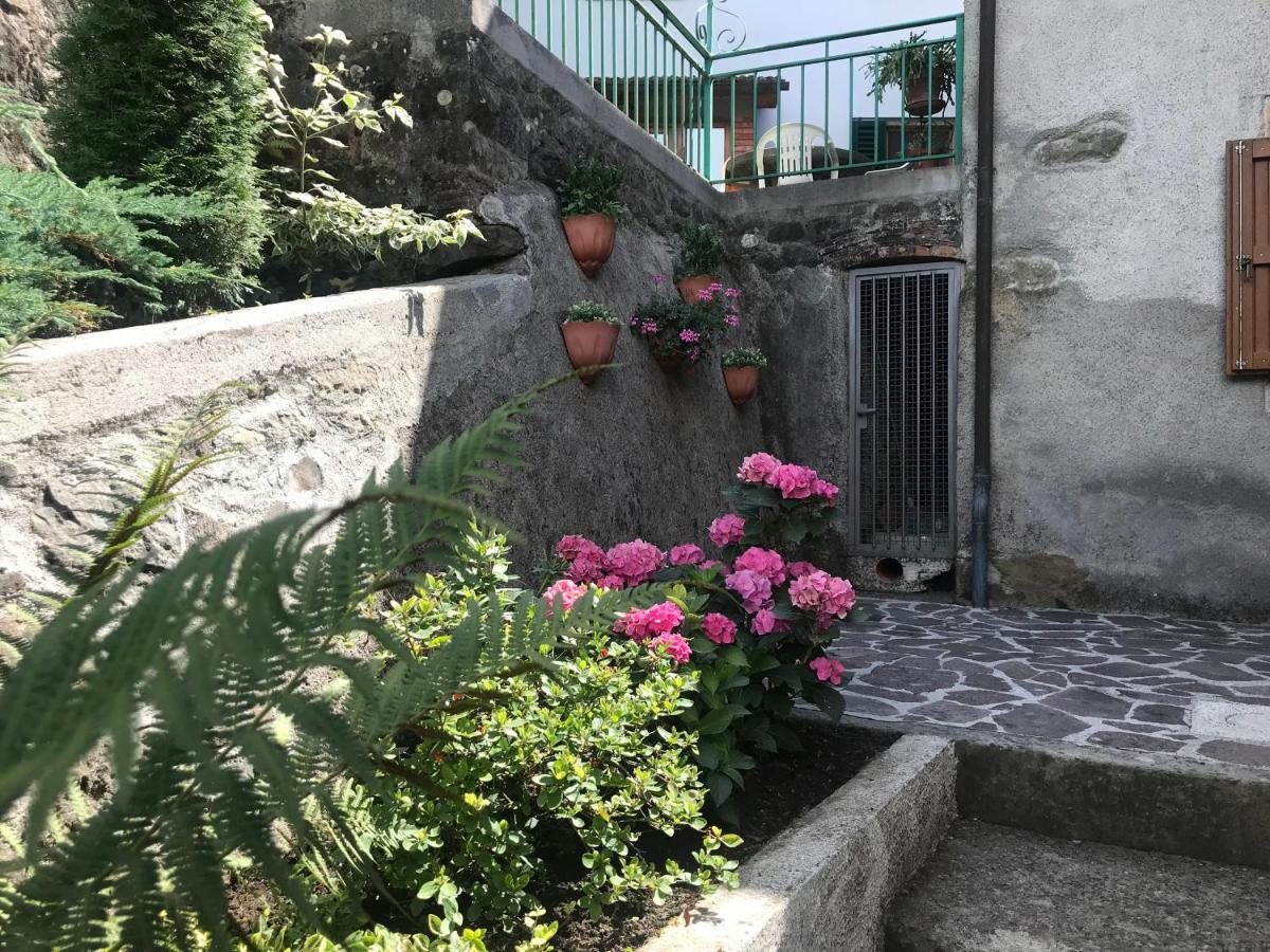 Mammiano Casa Valeria旅馆 外观 照片